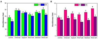 Role of different organic and inorganic amendments in the biofortification of iodine in Coriandrum sativum crop